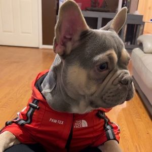 Meet your Posher, Tauron